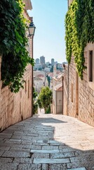 Obraz premium A narrow alleyway in an ancient city, with old stone buildings, ivy-covered walls, and a glimpse of the modern cityscape in the background, showcasing the layers of history in urban environments