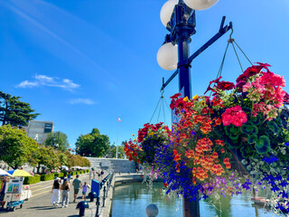 Blumenschmuck in der Altstadt von Victoria, Vancouver Island, British Columbia, Kanada