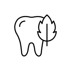 Mint tooth outline icons, minimalist vector illustration ,simple transparent graphic element .Isolated on white background