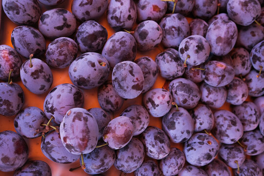 Violet plums on a table