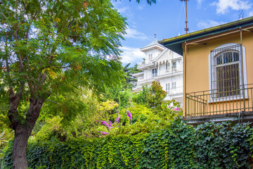 houses between flowers and trees in the garden