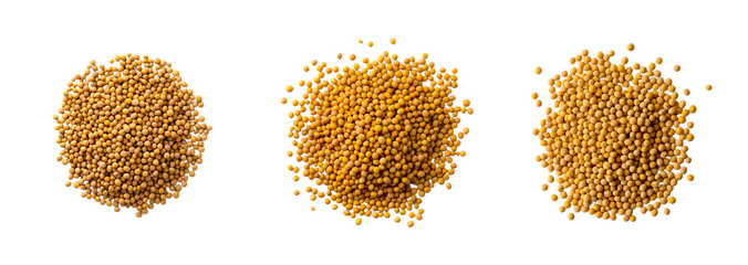Three piles of mustard seeds symbolize the concept of growth and abundance during the Makar Sankranti festival