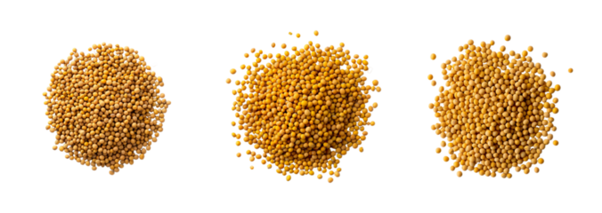 Three piles of mustard seeds symbolize the concept of growth and abundance during the Makar Sankranti festival