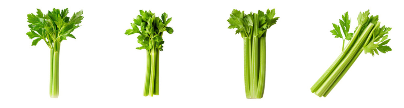 Fresh green celery stalks on a transparent background promoting healthy eating and diet nutrition