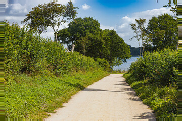 Fototapete bei efototapeten.de bestellen   