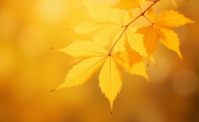 Obraz premium background yellow leaves on a yellow blurred background with copy space