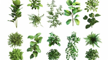 Fototapeta premium Plant png cut out element set, AI Generative