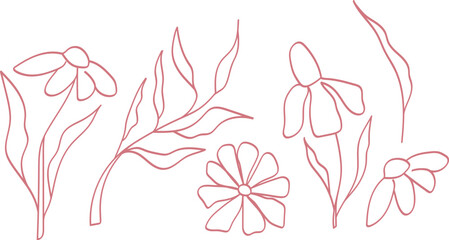 Set of minimalistic flowers, hand drawn, neat elements for decoration