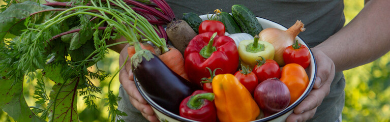 a man holds freshly picked vegetables in a bowl. Selective focus