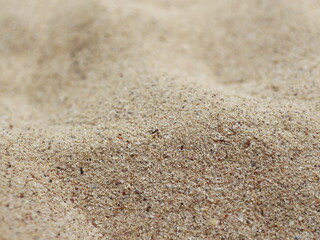 photo of beach sand.