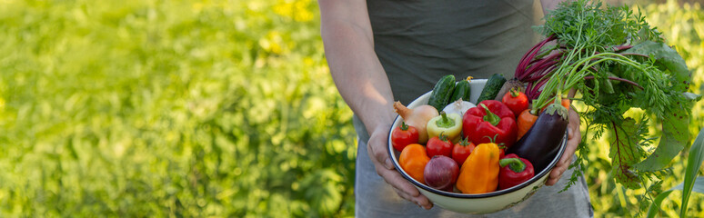 a man holds freshly picked vegetables in a bowl. Selective focus