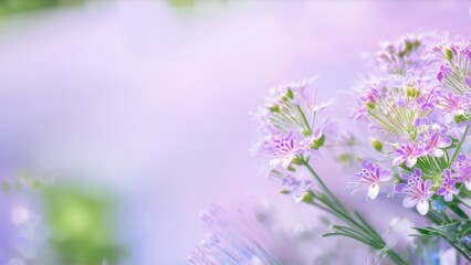 Fototapeta premium Dreamy pastel-colored floral background with delicate flowers and a blurred effect, creating a serene ambiance