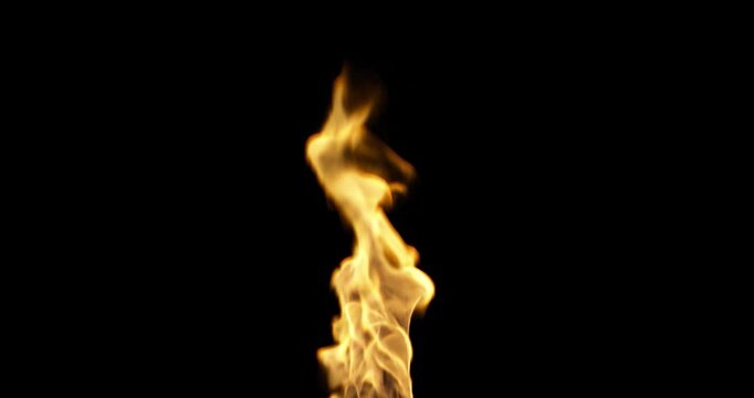 Blazing fire flowing movement isolated on black backgrounds