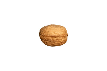 A single walnut is isolated on white background.