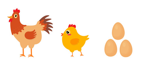 vector of the chicken's life cycle which originates from the egg and grows to the chick and adult chicken. flat cartoon design.