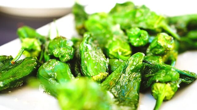 Traditional Spanish tapas pimientos de padron fried green peppers sprinkled with sea salt
