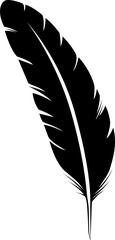 Obraz premium feather
