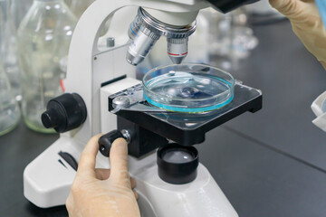 The research institute observes reagents under a microscope