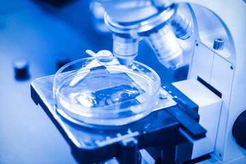 The research institute observes reagents under a microscope