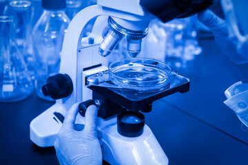 The research institute observes reagents under a microscope