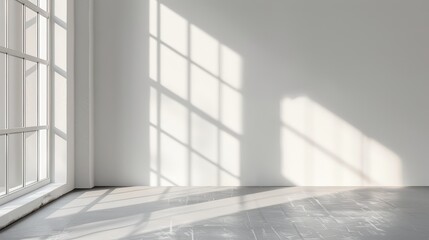 Fototapeta premium Sunlight streams in