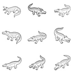 set of crocodile vector design, crocodile, animal, lizard, reptile, cartoon, dragon, green, illustration, isolated, dinosaur, vector, gecko, alligator, nature, art, wildlife, monster, wild, funny