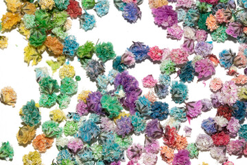 Pretty Floral Small Flowers Babies Breath On White Background for Weddings or Design