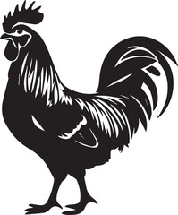 rooster isolated on white