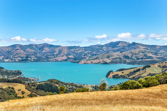 Akaroa Bay, Canterbury, South Island, New Zealand, Oceania.