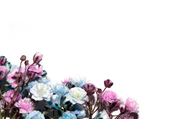 Pretty Floral Small Flowers Babies Breath On White Background for Weddings or Design