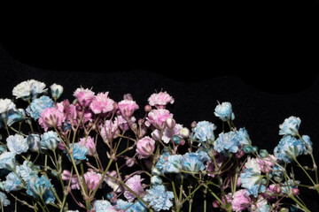 Pretty Floral Small Flowers Babies Breath On Black Background for Weddings or Design