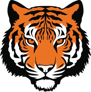 head of tiger