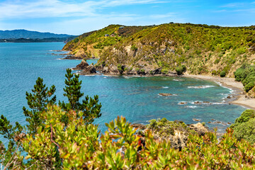 Obraz premium Rocky Bay Reserve, Russell, North Island, New Zealand, Oceania.