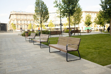 Perspective view of paved path with green lawn, decorative grass and modern wooden benches in front of gabion tree tubs made of wire and filled with stones in recreation area near modern office build