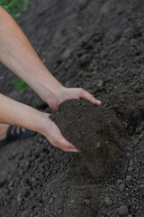 a man holds soil in his hands close-up. Selective focus