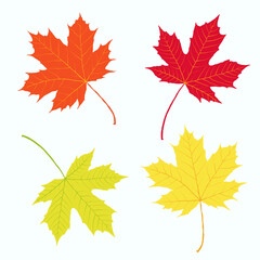 Autumn leaves on white background. Hand drawn vector collection of maple foliage. Red, yellow, orange, green, purple, pink, brown colors. Messy organic shapes