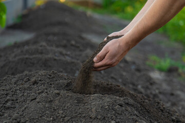 a man holds soil in his hands close-up. Selective focus