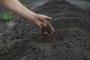 a man holds soil in his hands close-up. Selective focus