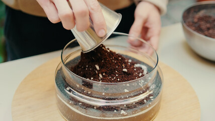 Nutritious substrat for transplanting houseplants into a glass terrarium, preparation for planting succulents