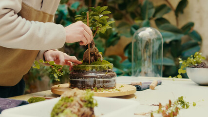 Close up of young male preparing moss for a glass terrarium at home workshop with plants in the...