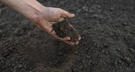 a man holds soil in his hands close-up. Selective focus