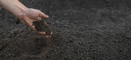 a man holds soil in his hands close-up. Selective focus