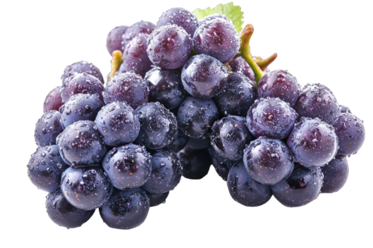 Fresh, delicious purple grape cluster glistening with water droplets, perfect for healthy snacks or wine production.