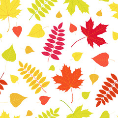 Fototapeta premium Autumn leaves pattern on white background. Hand drawn vector red rowan, poplar and maple foliage. Red, yellow, orange, green, purple, pink colors. Messy organic shapes