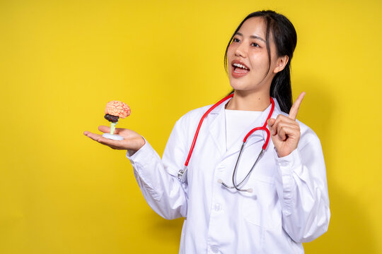 A woman in a white lab coat holding a brain model - Powered by Adobe