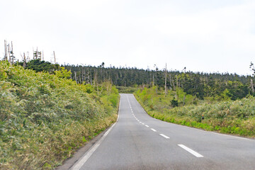 Winding Road Leading Up a Green Mountain