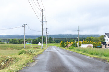 Fototapeta premium Tranquil Country Road: A Serene Scene Under a Cloudy Sky