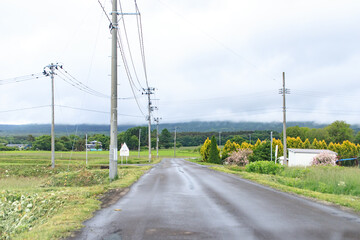 Fototapeta premium A Straight Road Leading to a Distant Horizon