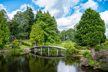 Fototapeta premium Background photography of Japanese style garden with pond and wooden bridge; park; botanic; lily in water; reflection; bush; flower; beauty; peaceful; plants