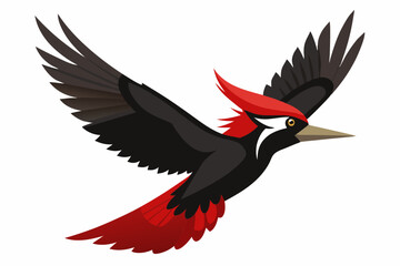 woodpecker vector art and illustration